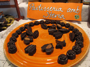 Eco.Si 2013. Fira de la cultura ecol&ograve;gica de Girona