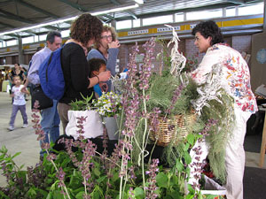 Eco.Si 2013. Fira de la cultura ecol&ograve;gica de Girona
