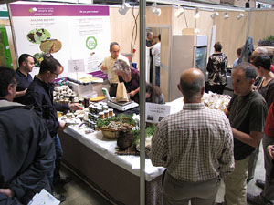 Eco.Si 2013. Fira de la cultura ecol&ograve;gica de Girona