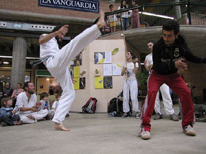 Eco.Si 2013. Fira de la cultura ecol&ograve;gica de Girona