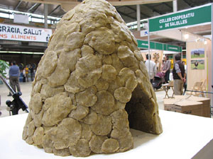 Eco.Si 2013. Fira de la cultura ecol&ograve;gica de Girona