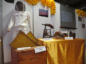 Eco.Si 2015. Fira de la cultura ecol&ograve;gica de Girona