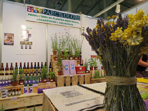 Eco.Si 2015. Fira de la cultura ecol&ograve;gica de Girona