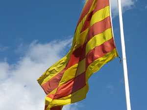 Enlla&ccedil;ats per la Llengua. La cercavila