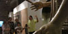 Visita guiada a l'exposici&oacute;