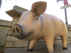 FIPORC 2015. Fira del porc de Riudellots de la Selva. Presentaci&oacute; al Vol de Girona