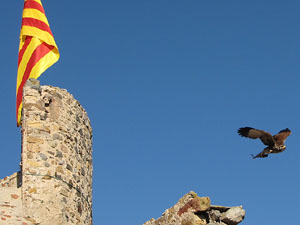 11a. Fira del Bolet i Cuina del Bolet a Llagostera