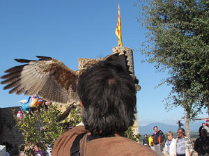 11a. Fira del Bolet i Cuina del Bolet a Llagostera