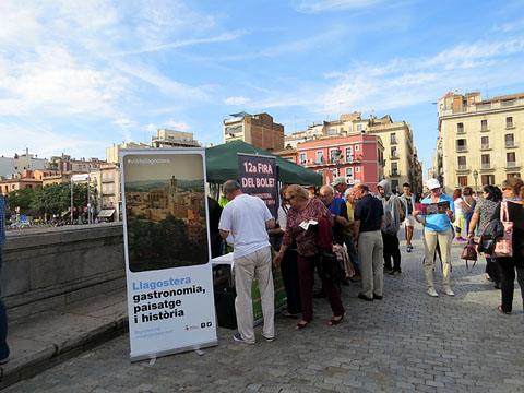 Presentaci&oacute; de la 12a. Fira del Bolet de Llagostera