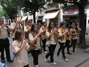 Cercavila dels gegants de Riudarenes