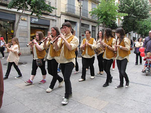 Cercavila dels gegants de Riudarenes