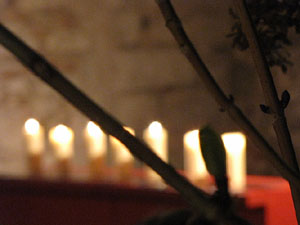 Dia de la Mem&ograve;ria de l'Holocaust 2014