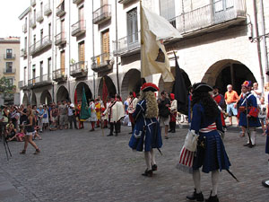 Clavetejat de la bandera a la pla&ccedil;a del Vi