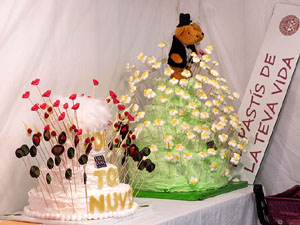 Sal&oacute; Tot Nuvis 2015 a Fira de Girona