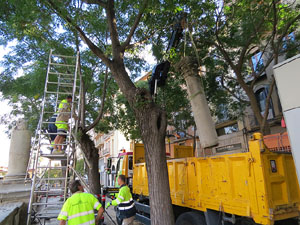 Desmuntatge de la columna de la rambla Verdaguer