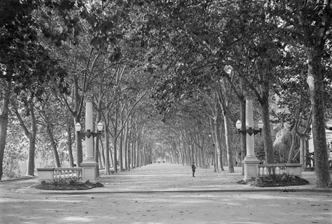 Balustrada amb columnes cor&iacute;nties que donava entrada al passeig central de la Devesa. 1928-1936