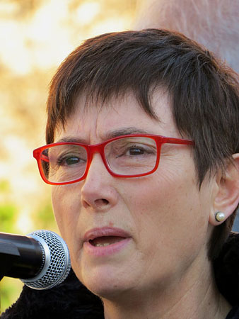 Carme Garcia i Su&aacute;rez directora general de Relacions Institucionals, durant el seu parlament