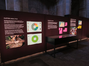 Exposici&oacute; 'La revoluci&oacute; neol&iacute;tica. La Draga, el poblat dels prodigis' al Museu d'Arqueologia de Catalunya - Girona, a Sant Pere de Galligants