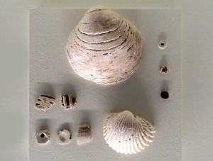 Exposici&oacute; 'La revoluci&oacute; neol&iacute;tica. La Draga, el poblat dels prodigis' al Museu d'Arqueologia de Catalunya - Girona, a Sant Pere de Galligants