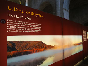 Exposici&oacute; 'La revoluci&oacute; neol&iacute;tica. La Draga, el poblat dels prodigis' al Museu d'Arqueologia de Catalunya - Girona, a Sant Pere de Galligants