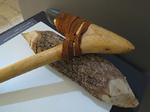 Exposici&oacute; 'La revoluci&oacute; neol&iacute;tica. La Draga, el poblat dels prodigis' al Museu d'Arqueologia de Catalunya - Girona, a Sant Pere de Galligants