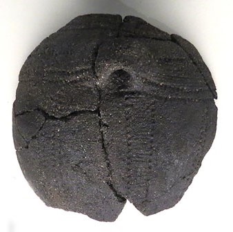 Fragment d'olla amb nansa