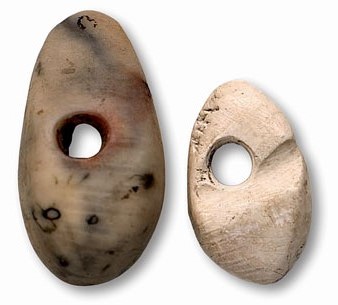 Denes-penjoll. Valves d�ostra vermella i d�escopinya. M&eacute;s gran: 1,7 x 0,9 x 0,6 cm