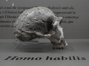 Inauguraci&oacute; de l'exposici&oacute; 'El geni culinari. Innovacions que marquen la nostra cuina' al MAC de Sant Pere de Galligants