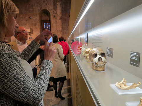 Visita a l'exposici&oacute;
