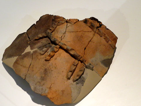 Fragment de tenalla amb representaci&oacute; d'un c&egrave;rvol. Cer&agrave;mica a m&agrave;. Edat del Bronze final, 1000 aC. Gen&oacute;, Aitona (Segri&agrave;)
