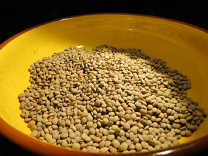 Inauguraci&oacute; de l'exposici&oacute; A la taula d'Estelina, al Museu d'Hist&ograve;ria dels Jueus de Girona