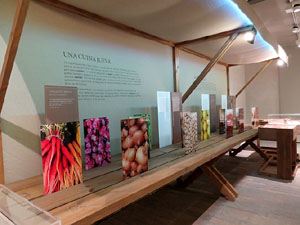 Inauguraci&oacute; de l'exposici&oacute; A la taula d'Estelina, al Museu d'Hist&ograve;ria dels Jueus de Girona