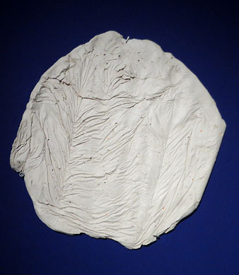 Sense t&iacute;tol. Guix. 30 cm de di&agrave;metre