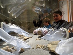 Inauguraci&oacute; de l'exposici&oacute; 140 anys dels mosaics romans de Bell-lloc al Museu d�Arqueologia de Catalunya