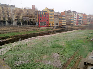 Nevada a Girona el 28 de febrer 2018