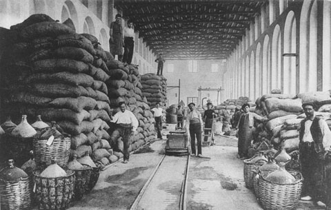 Magatzem i dip&ograve;sit de corozo, una esp&egrave;cie de castanya sud-americana que s�anomenava popularment 'coco'. 1910-1920