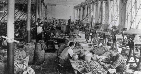 La f&agrave;brica Grober a comen&ccedil;aments del segle XX