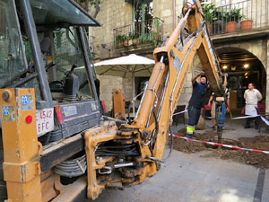 Renovaci&oacute; de til&middot;lers a la Rambla de la Llibertat. Plantat de nous exemplars