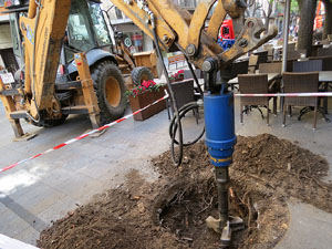 Renovaci&oacute; de til&middot;lers a la Rambla de la Llibertat. Plantat de nous exemplars
