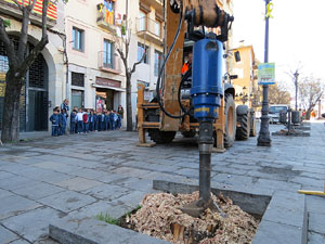 Renovaci&oacute; de til&middot;lers a la Rambla de la Llibertat. Plantat de nous exemplars