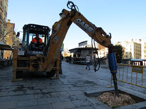 Renovaci&oacute; de til&middot;lers a la Rambla de la Llibertat. Plantat de nous exemplars