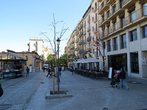 Renovaci&oacute; de til&middot;lers a la Rambla de la Llibertat. La tala dels arbres malalts