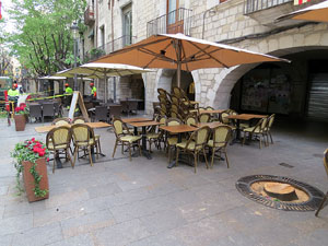 Renovaci&oacute; de til&middot;lers a la Rambla de la Llibertat. La tala dels arbres malalts