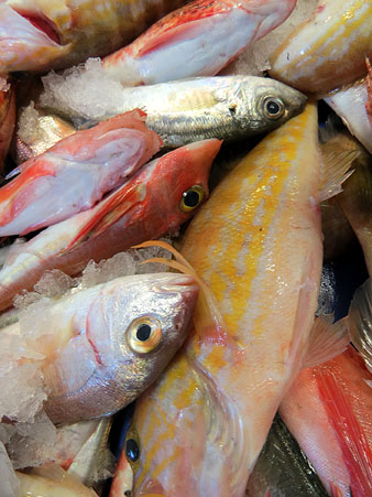 Els ingredients: el peix