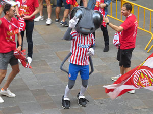 Ascens del Girona FC i el B&agrave;squet Girona. Rebuda a la pla&ccedil;a del Vi