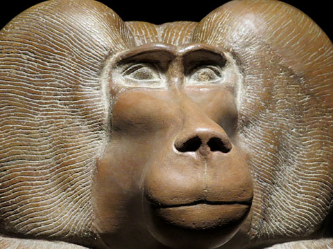Figura d'un babu&iacute; a la gatzoneta. Quarsita vermella. Dinastia XVIII, regnat d'Amenhotep III, Ca. 1390-1352 aC. Detall