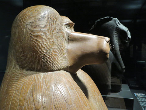 Figura d'un babu&iacute; a la gatzoneta. Quarsita vermella. Dinastia XVIII, regnat d'Amenhotep III, Ca. 1390-1352 aC. Detall