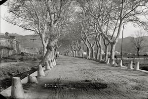 75&egrave; aniversari de la mort de Valent&iacute; Fargnoli. Exposici&oacute; 'El paisatge revelat' a la Casa de Cultura