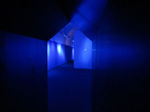 Projecte art&iacute;stic 'Incerta Via' a la Casa de Cultura