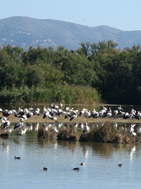 Parc Natural dels Aiguamolls de l'Empord&agrave;